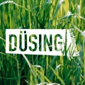 Logo D&uuml;sing GmbH & Co. KG