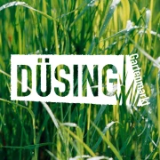 Logo Düsing GmbH & Co. KG