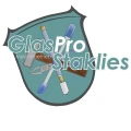 GlasPro Staklies Wuppertal