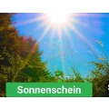 Glasreinigung Wismar