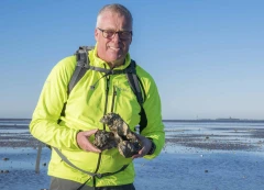 Gönn dir Watt Cuxhaven