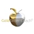Logo GoldSilberCoach&reg; Edelmetalle und Finanzen Bernd Zeitler