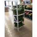 Golletz Verpackungen GmbH L&ouml;ningen