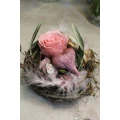 Grashalm Floristik, Inh.: S. Peske Florist Wittstock