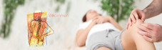 Logo Gregor Gamradt Praxis für Physiotherapie GmbH