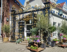 Greiner G&auml;rtnerei Schorndorf