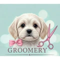 Groomery Hundefriseursalon Kahla