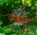 Logo GrossBaum - Baumpflege & Sanierung