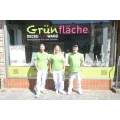 Gr&uuml;n DECKEPLUSWAND Malerfachbetrieb Pattensen