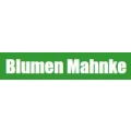 Gr&uuml;nanlagen & Hausservice Mahnke Anklam