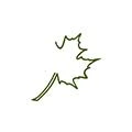 Logo Gr&uuml;ner Baum