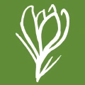 GR&Uuml;NER LEICHTSINN Logo