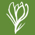 Logo GRÜNER LEICHTSINN