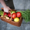 Gr&uuml;nzeugs Lieferservice f&uuml;r Naturkost Dresden