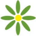 Logo Grund-, Haupt- und Werkrealschule Langwiesenschule