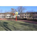 Logo Grundschule Adolf Diesterweg