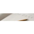 Logo Grundschule Geschw. Scholl