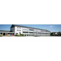 Logo Grundschule Wolsfeld