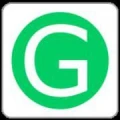 Logo G&uuml;dler Datenservice GmbH & Co. KG