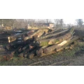 G&uuml;nnis-Holztaxi Meerbusch