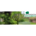 Logo Gartengestaltung D&ouml;nnebrink