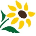 Logo Kaltenbach, G&uuml;nter