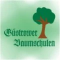 Logo G&uuml;strower Baumschulen