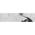 Logo Frey, Gunther