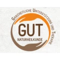GUT Naturheilkunde - Ganzheitliche Unterst&uuml;tzung und Therapie - Dominik Thienert Osnabr&uuml;ck