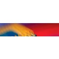 Logo HAACKE & PROKOPH GmbH