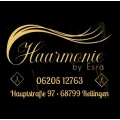 Haarmonie by Esra Reilingen