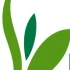 Logo Haas Bernd Blumen & Gärtnerei