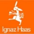 Logo Haas Maler- und Stuckateurgeschäft A. Flamm