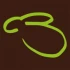 Logo Haase Fred