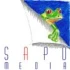 Logo Haasis Anne Sapo Media Designerin