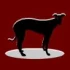 Logo Hacker u. Presting Buchhandlung
