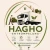 Logo HAGHO Entr&uuml;mpelung