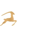 Logo Ceforafrica, Hairbeauty
