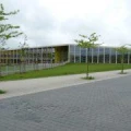 Logo Faldey, Leo
