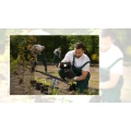 Handwerker-Dienstleistungen Neutraubling