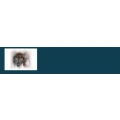 Logo Hanke priv. Tierbetreuung bei Ihnen zu Hause