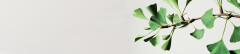 Logo Hans-A. Willms Heike Willms-Heib
