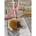 Hans Fenzl Obstbaum Im- Export Cham