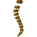 Logo D&ouml;rflinger, Hans-G&uuml;nter