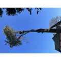 Hanseatische Baumpflege Tangstedt
