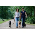 Logo Hansehund Hamburg