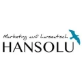 Logo Hansolu GmbH