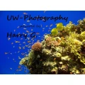 Logo Harald Galwas UW-Photograghy