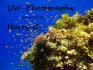 Logo Harald Galwas UW-Photograghy