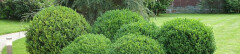 Logo Harald Kirschenlohr Garten- und Landschaftsarchitekt